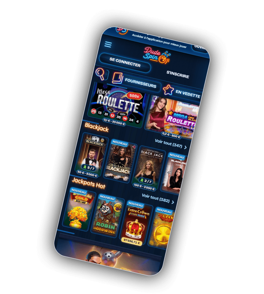 Interface du casino DudeSpin FR